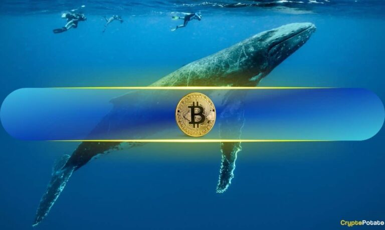 BTC Price Tumbles Below Important Support Level: Are Whales Realizing Profits?