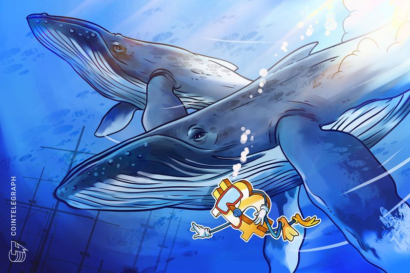 Bitcoin exchange outflows mimic 2023 as whales buy retail 'panic'
