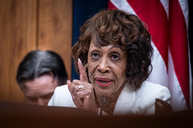 Trump's Memecoin Dinner Draws Crowded Cast of Democratic Protesters from Congress