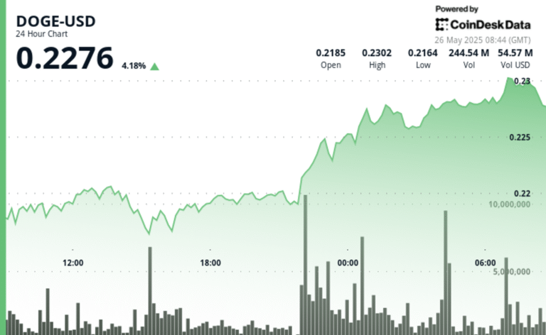 Dogecoin Extends Rally as Whale Accumulation Signals Growing Confidence