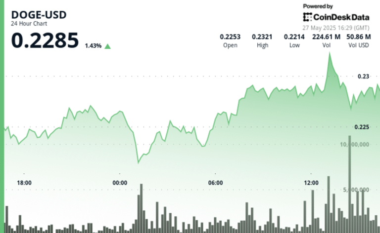 Dogecoin Rebounds 5.5% as Whale Accumulation Fuels Bullish Momentum