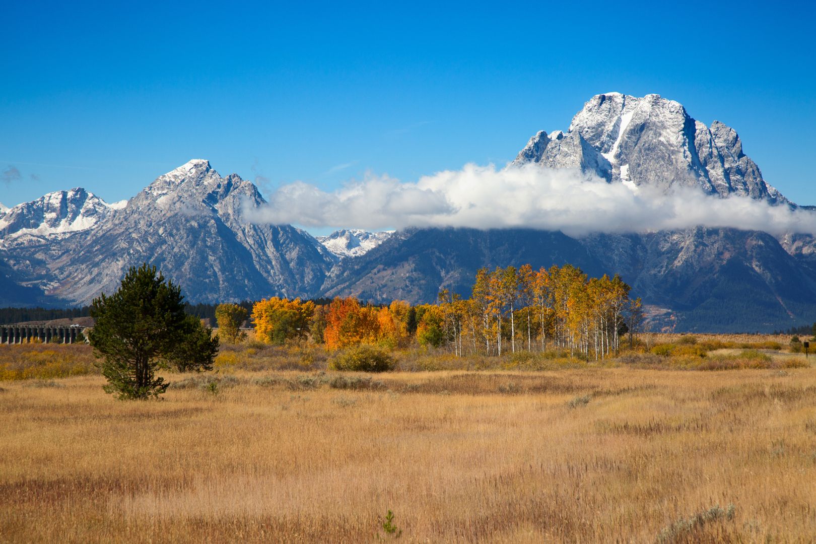 Wyoming Taps Inca Digital to Secure First State-Issued Stablecoin Ahead of July Launch