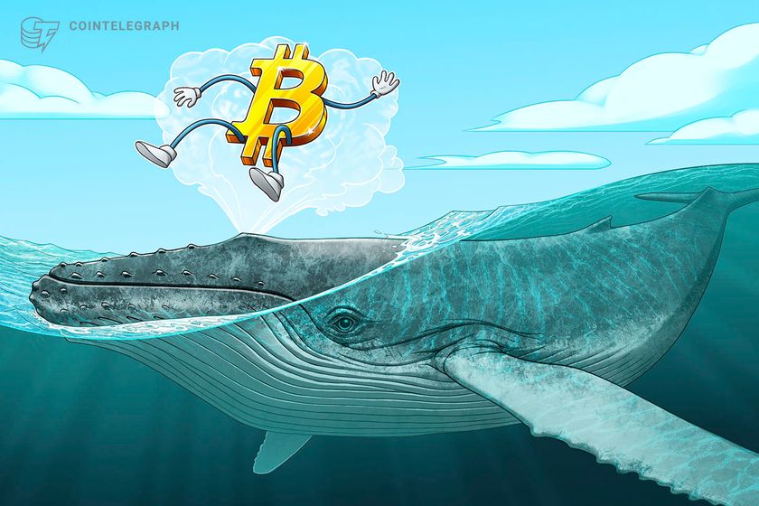 Bitcoin whales keep buying as BTC price dip targets include $94K