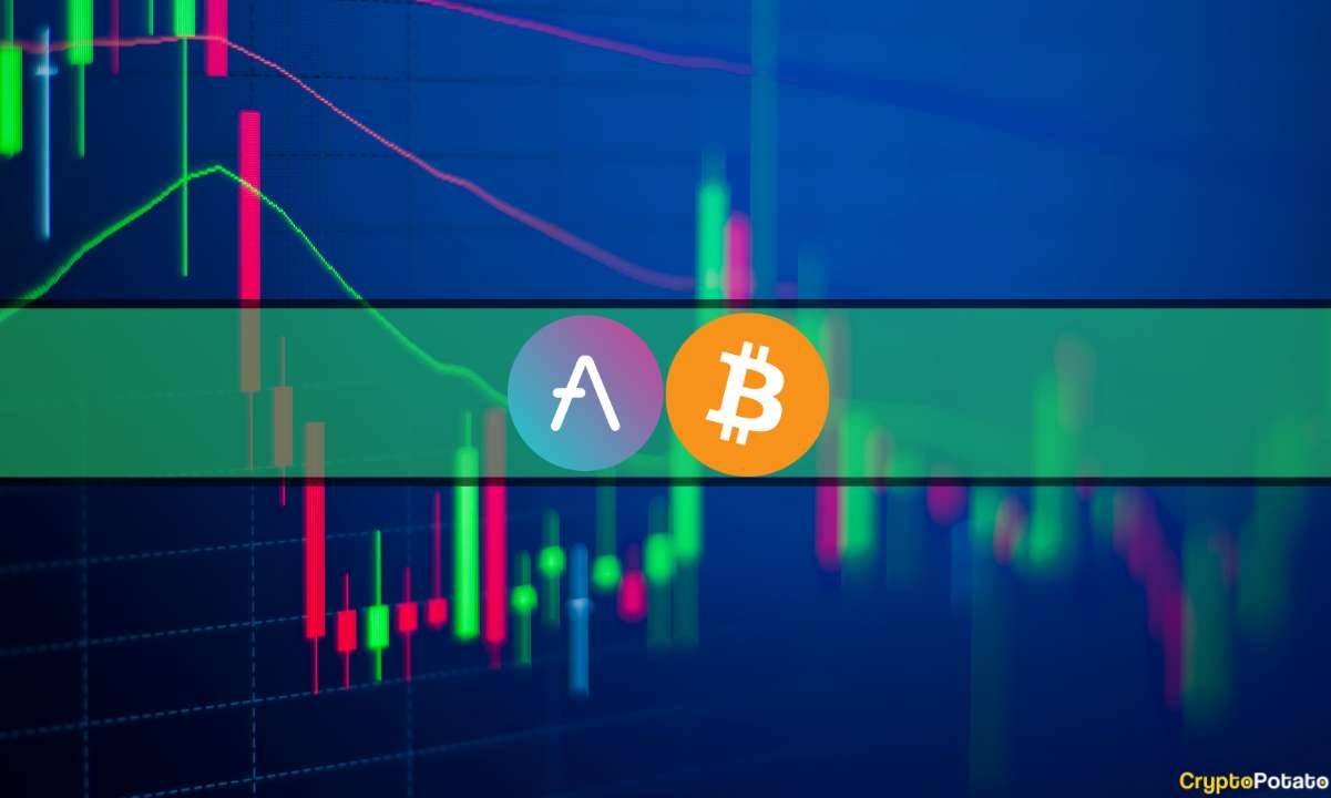 Bitcoin Recovers From Drop to $102K, AAVE Skyrockets by Over 20% (Market Watch)
