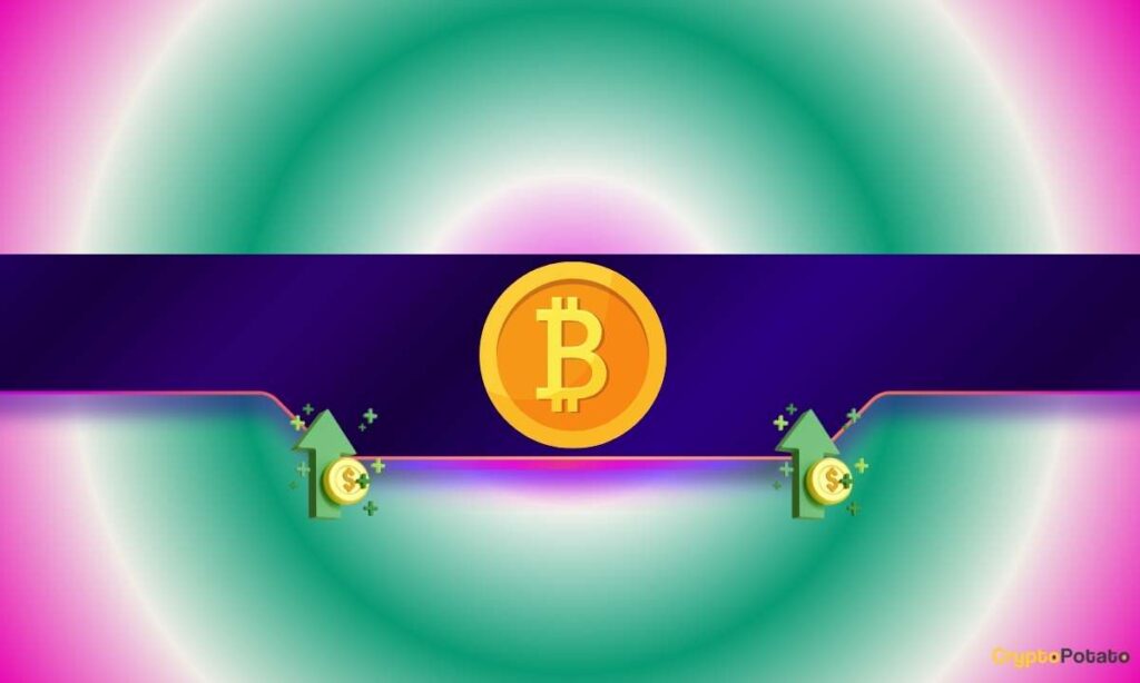 ‘Legendary Gains or Legendary Regrets:’ Crucial Guidance to Investors After Bitcoin’s New ATH