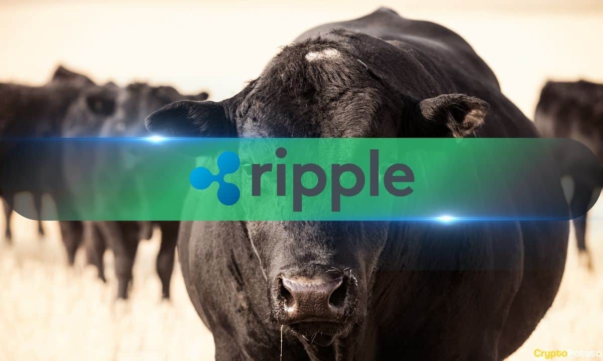 4 Mouthwatering Signs Ripple’s (XRP) Price Is About to Rip in May