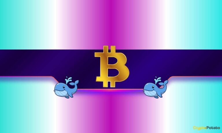 20,000 BTC Purchased in Just 2 Days by Whales: How Will Bitcoin’s Price React?