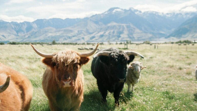 Ether-Bitcoin Ratio Signals ETH is 'Extremely Undervalued,' But Headwinds Remain: CryptoQuant