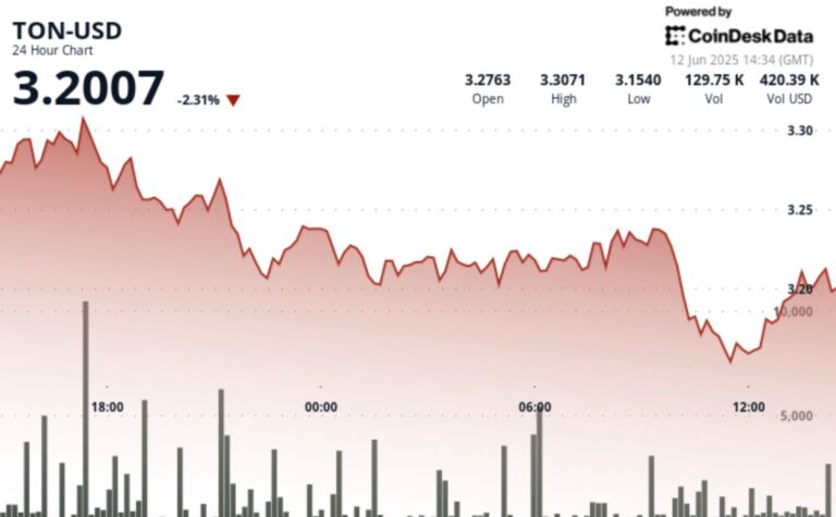 TON Slips as Selling Pressure Mounts Despite Recovery Attempts