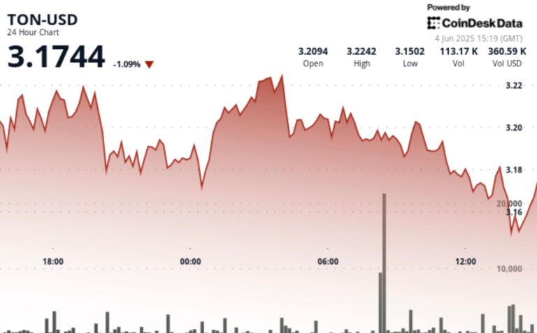 TON Dips as 'Double Top' Pattern Potentially Signals Short-Term Bearish Trend