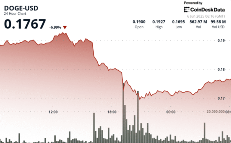Dogecoin Drops as Much as 12% Amid Trump-Musk Drama