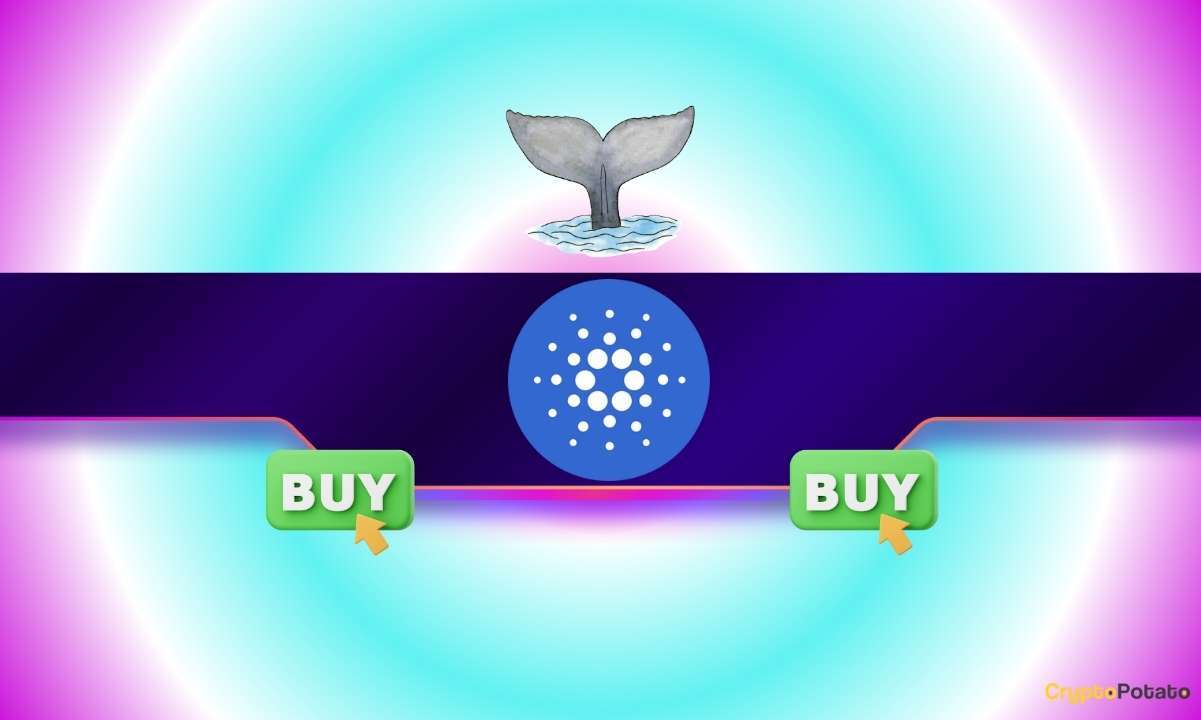 120,000,000 ADA in Just 2 Days: What Are Cardano Whales Preparing for?