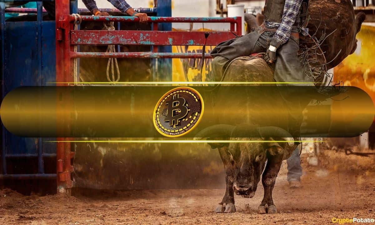 Bitcoin’s Current Bull Cycle Is Unlike Anything We’ve Seen Before