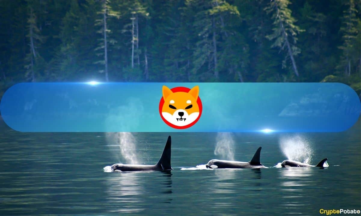 Shiba Inu (SHIB) Leads Whale Accumulation Wave Amidst Rising Geopolitical Tensions