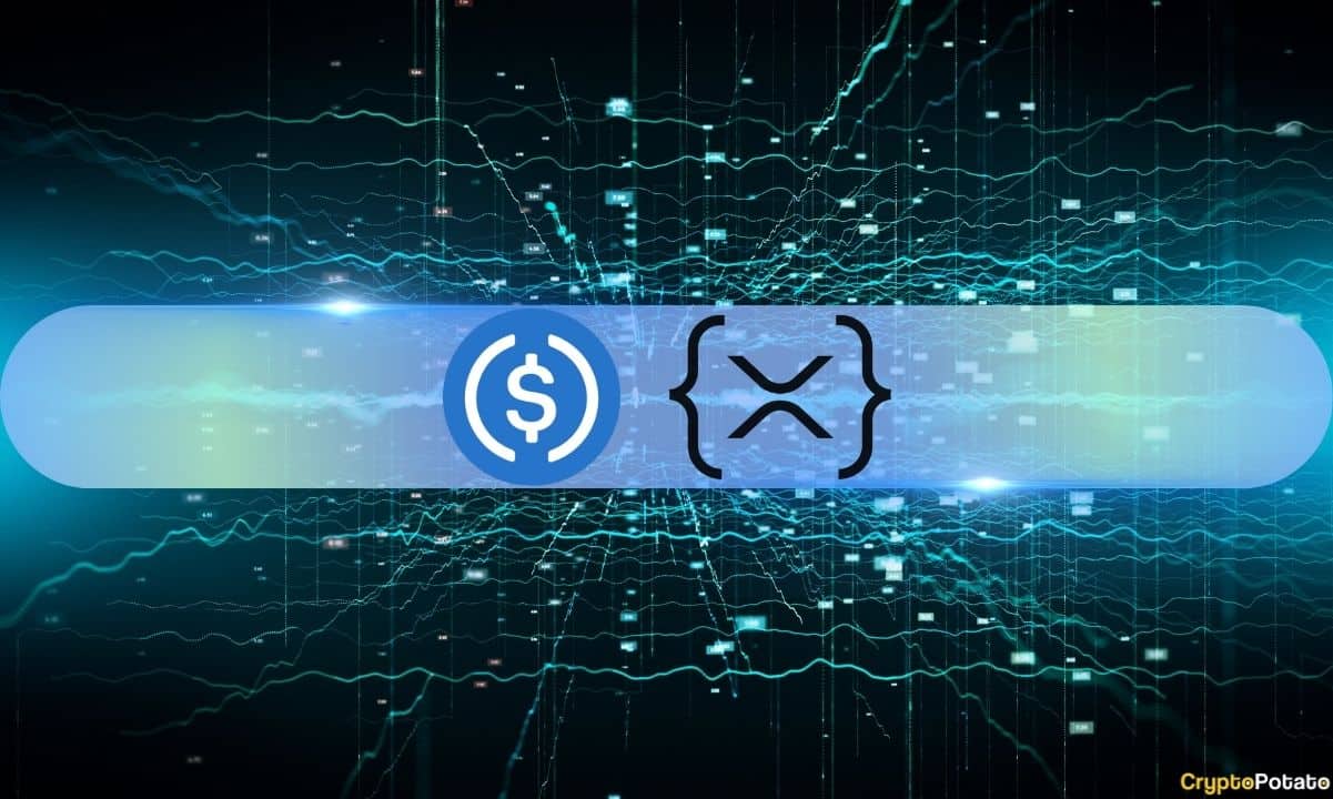 Ripple’s XRP Ledger Welcomes the World’s Second-Biggest Stablecoin