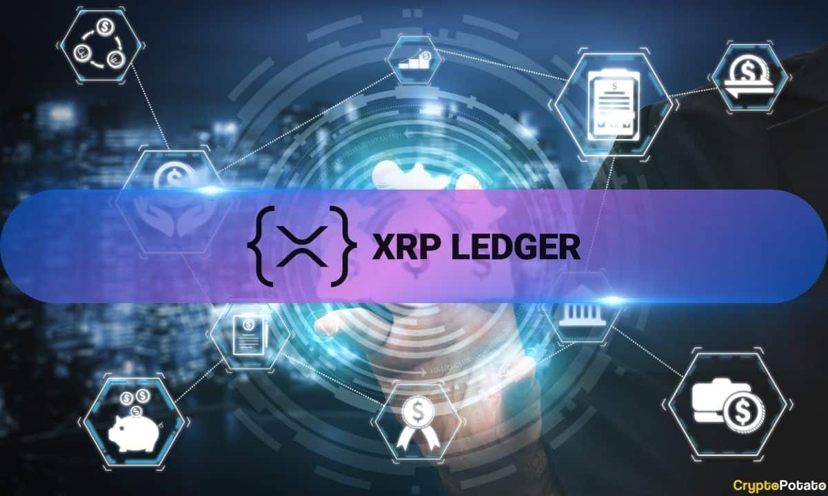 XRP Ledger Activity Surges 7x as Ripple Whale Wallets Reach Record High