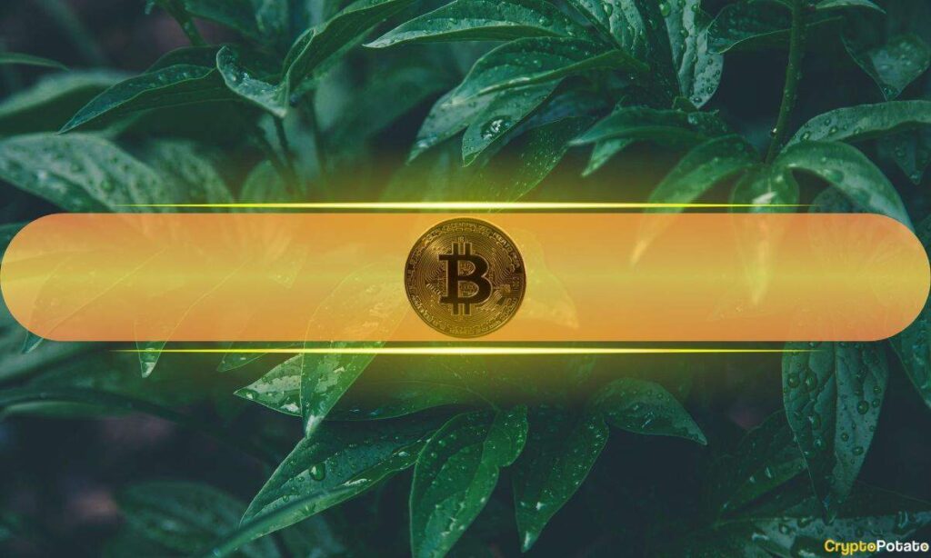 $1.5 Billion Flows Into BTC ETFs This Week as Bitcoin Double Taps $108K