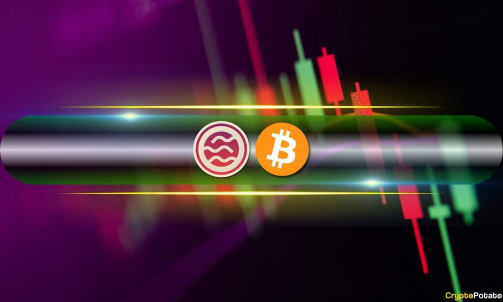 Crypto Markets Bounce, SEI Explodes by 41% Daily, But Warning Signs Quickly Pop (Market Watch)