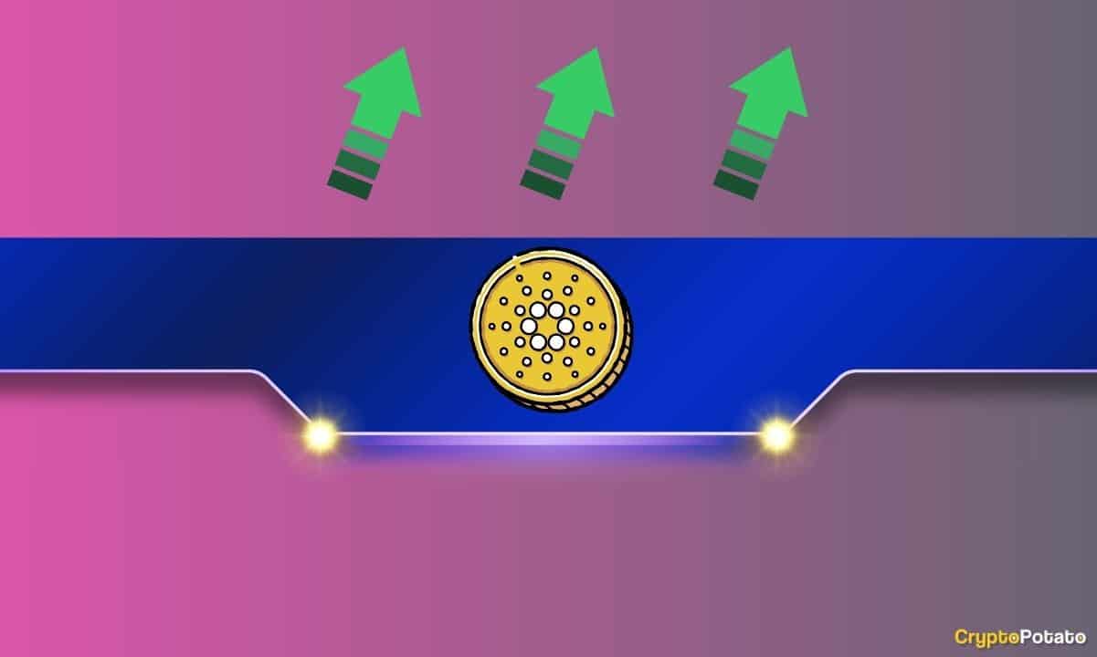 Major Cardano (ADA) Community Announcement: Details