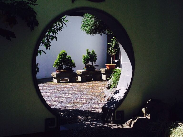 Coinbase Unlocks DeFi Opportunities for XRP and Dogecoin Holders on Base