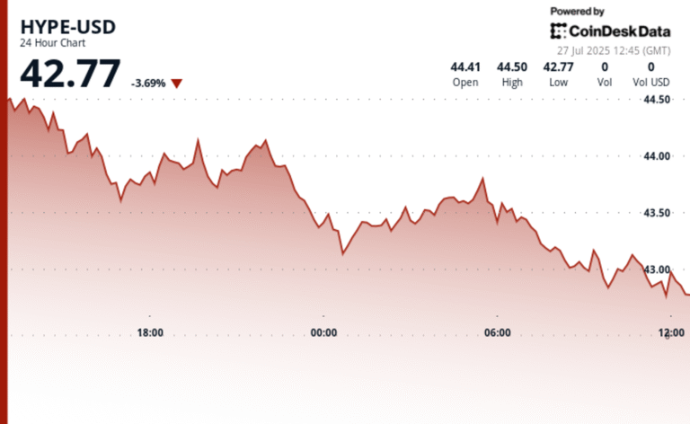 What’s Next for Hyperliquid’s HYPE Token? What Wall Street and Analysts Are Saying