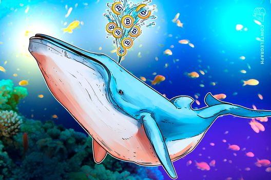 $8.6B Bitcoin whale transfer shows no signs of sell-off: Arkham