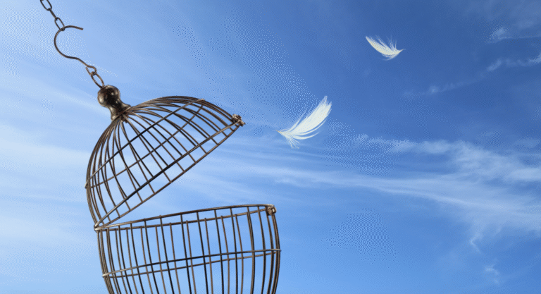 Ether, Dogecoin Lead Crypto Gains as Firms Signal 'Prime' Breakout Chance for Market