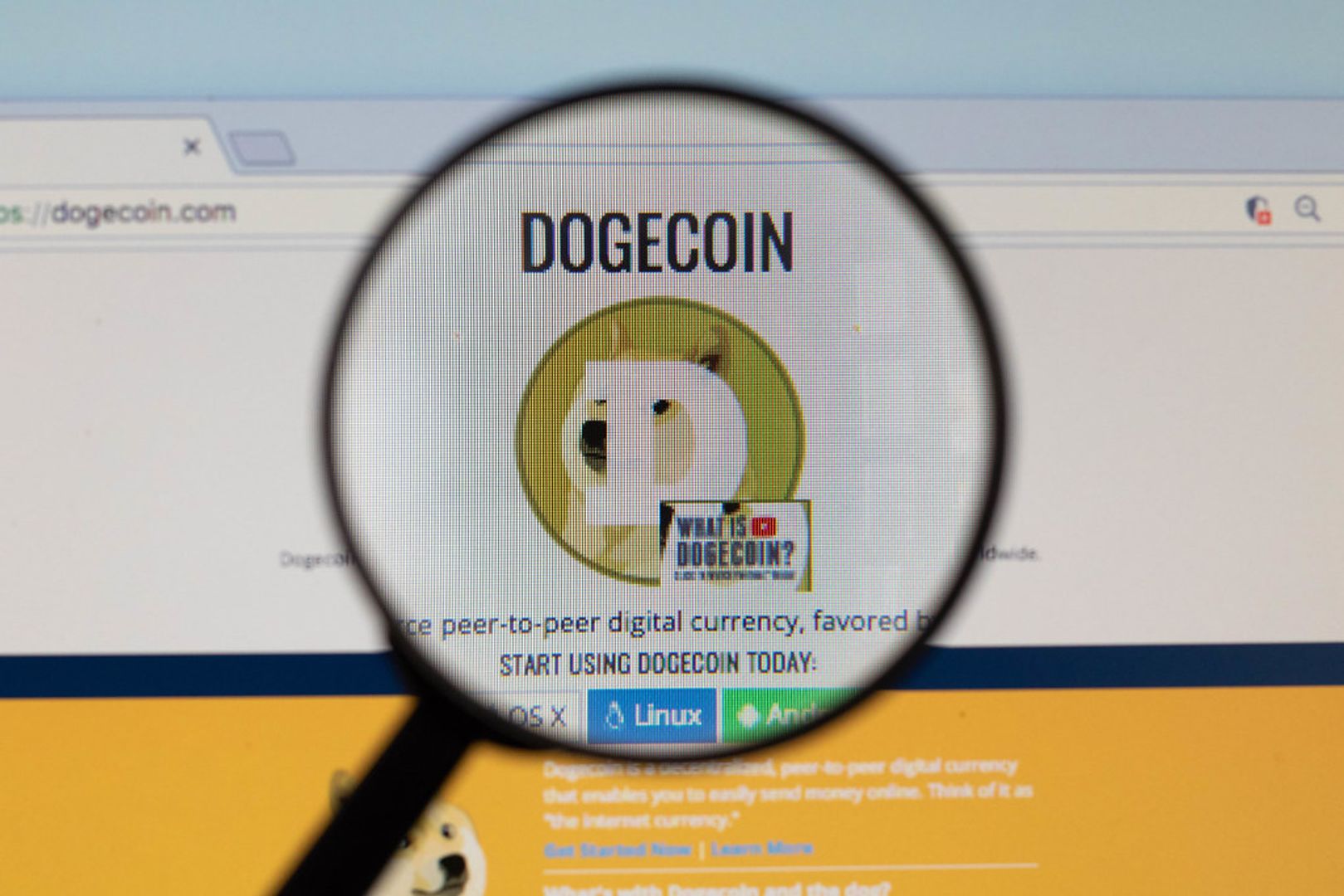 Dogecoin Could Soon Verify ZK Proofs Natively, Thanks to DogeOS Push