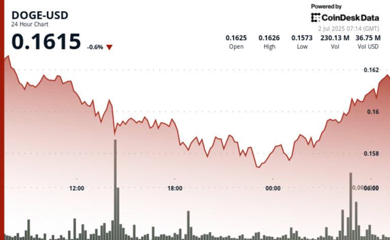 Dogecoin Rebounds After Forming 'Double Bottom'