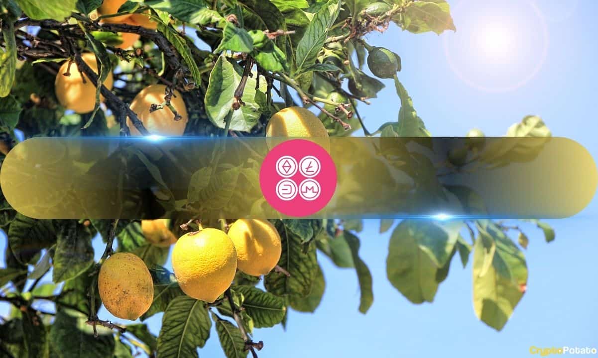 Altcoins Soar as Bitcoin Rests – But Froth Builds in Crypto Markets