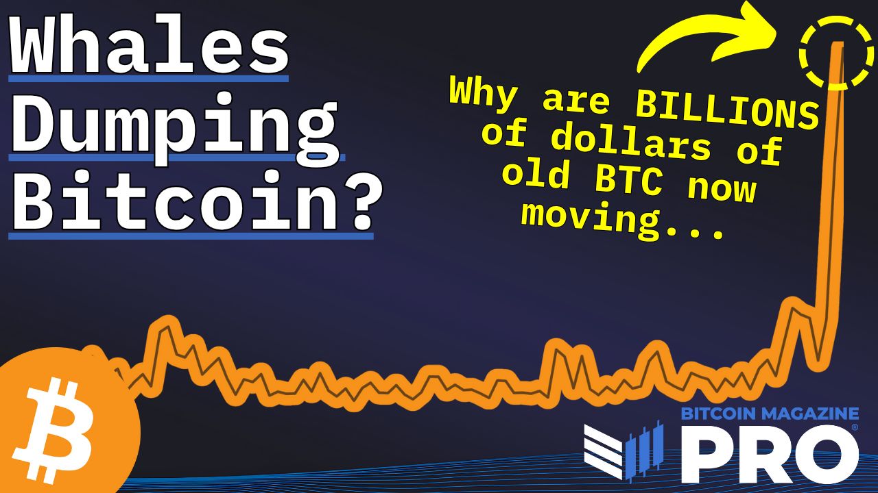 Are Bitcoin Whales Dumping Their BTC?