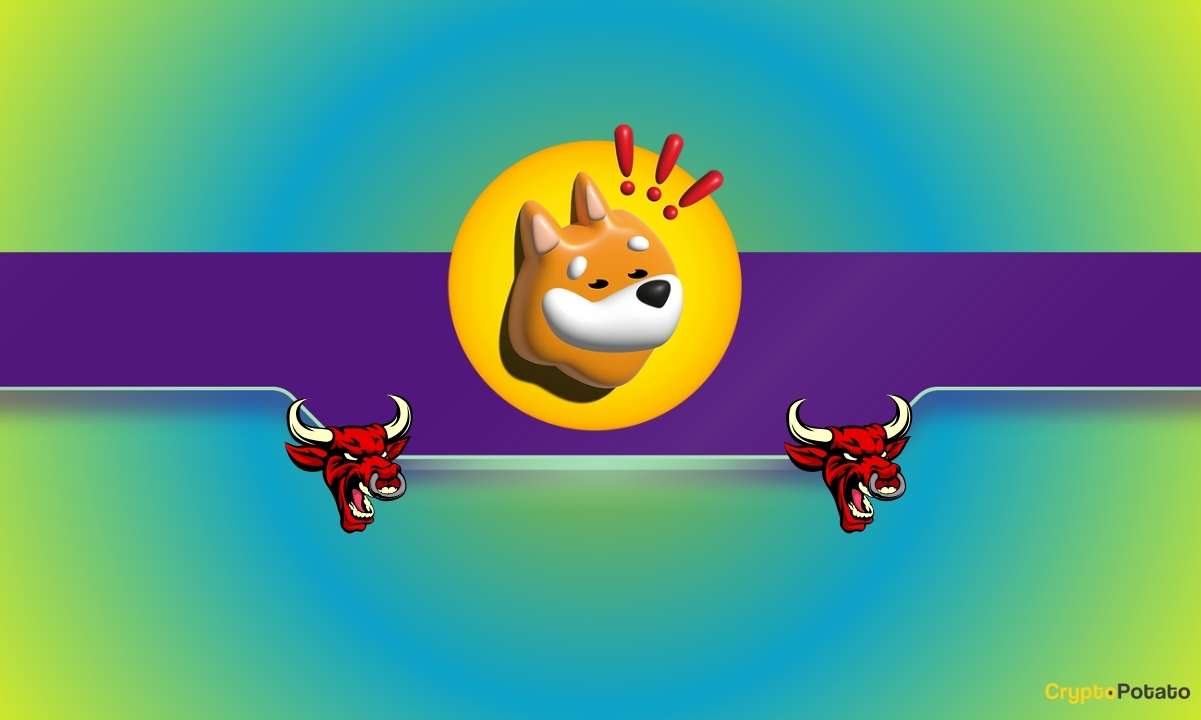 BONK Holds Strong Above Key Level—$0.00003 Next?