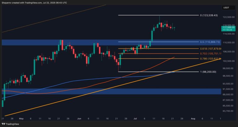 Bitcoin Price Analysis: Key Factors Point to a BTC Correction Ahead
