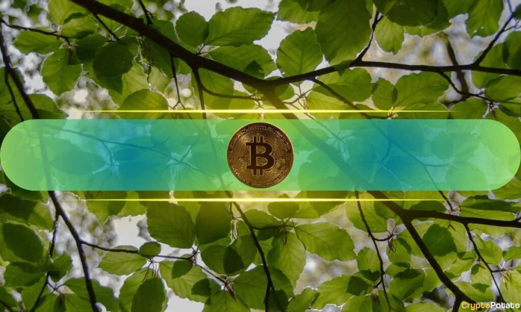 Bitcoin Hits Fresh All-Time High as Saylor and Kiyosaki Want to Buy More