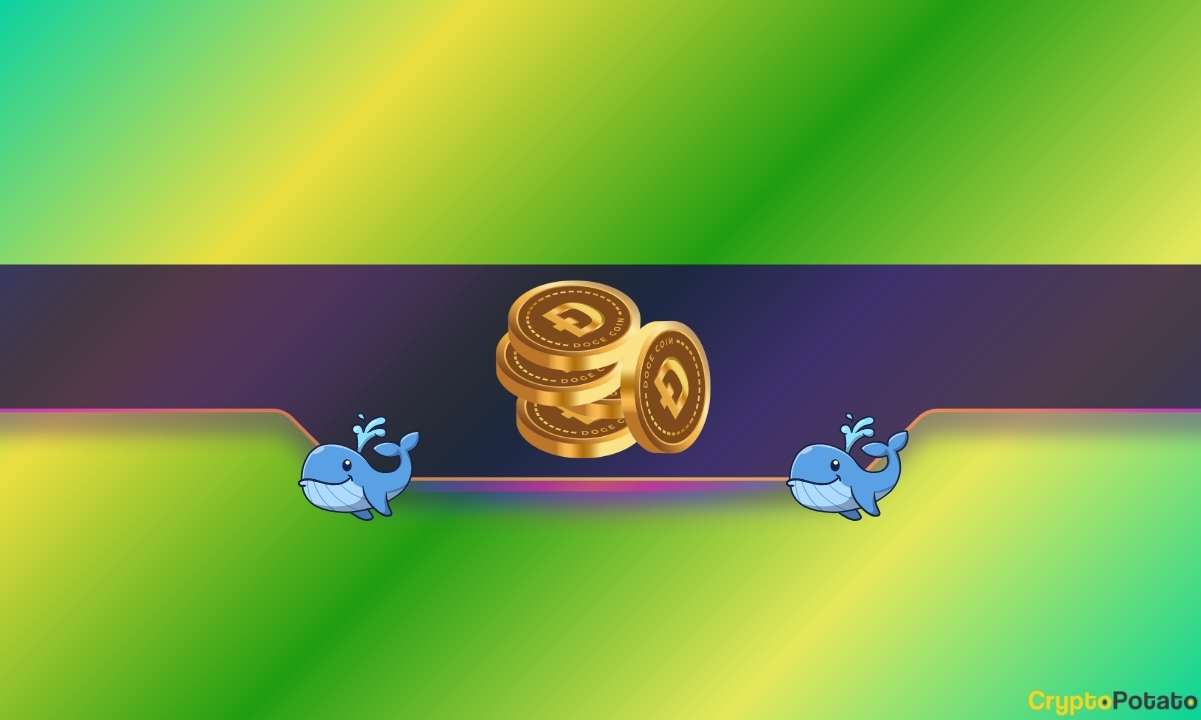 DOGE Price Ships to 2-Month High: How Bullish Are Whales and Traders?