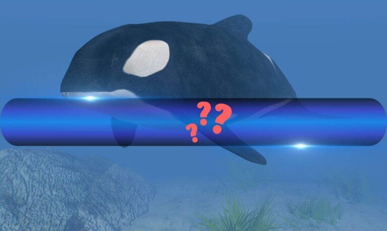 4 Cryptocurrencies to Watch as Smart Whale Opens Massive Long Position