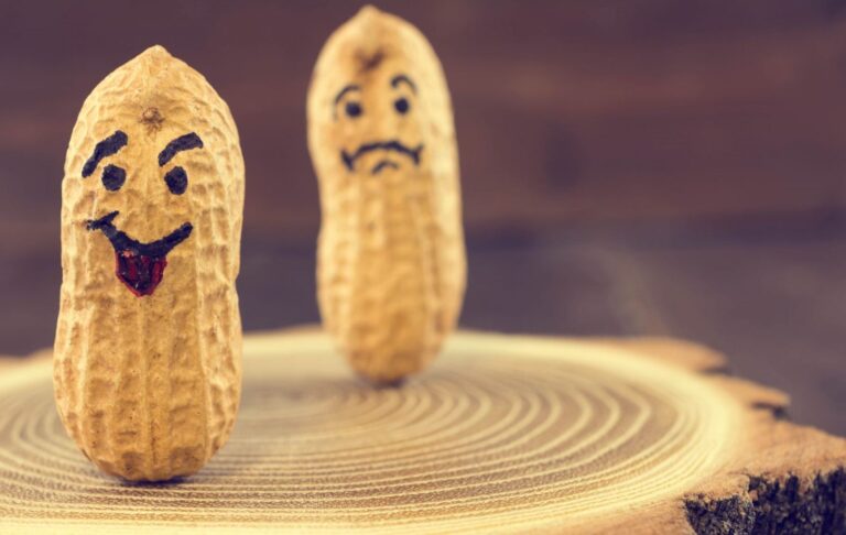 Memecoin PNUT Rips on Elon Musk’s Epstein Cue