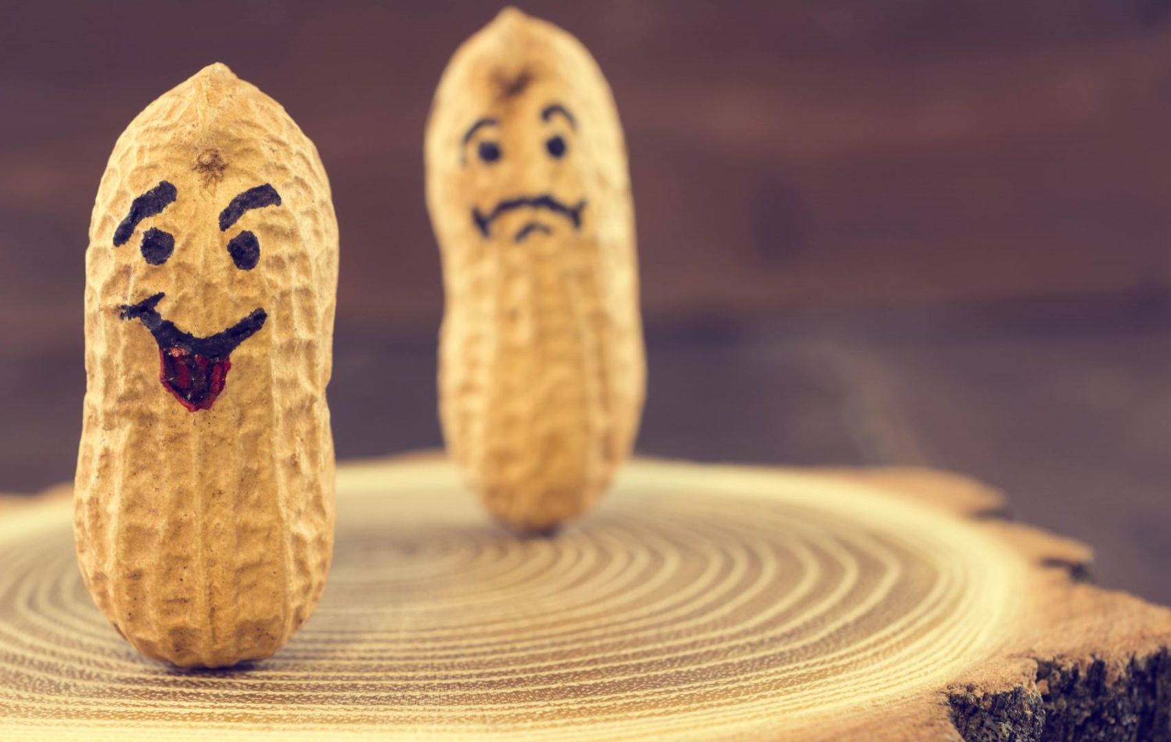 Memecoin PNUT Rips on Elon Musk’s Epstein Cue