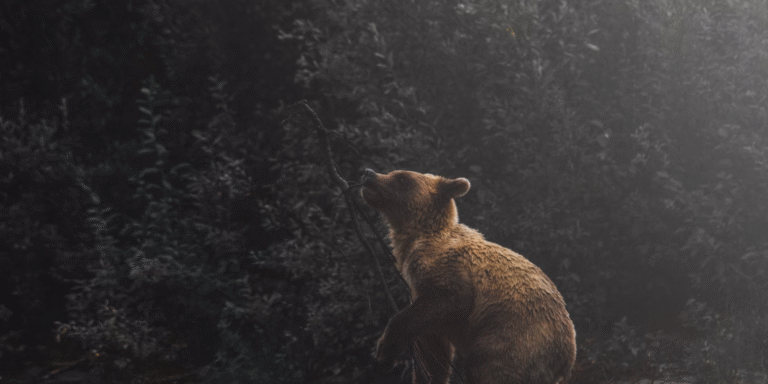 Traders Pile on Short Positions as Bitcoin Approaches All-Time High