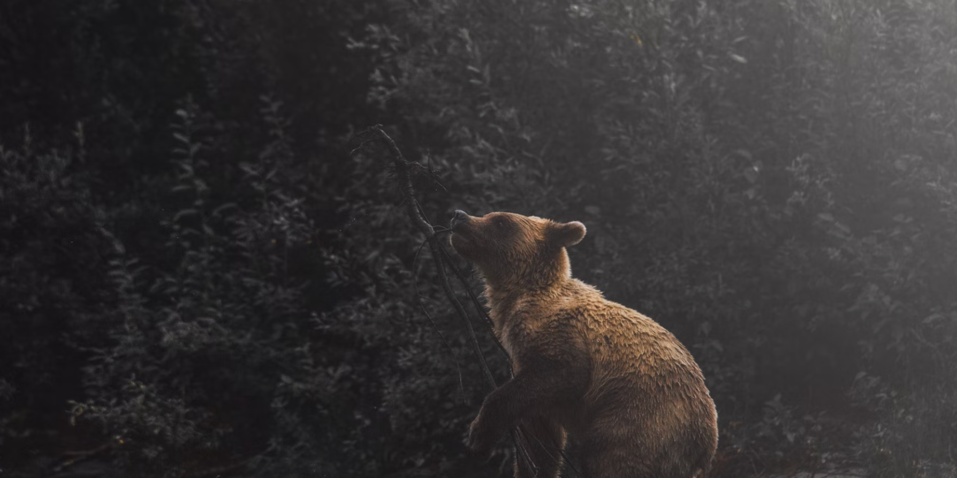 Traders Pile on Short Positions as Bitcoin Approaches All-Time High