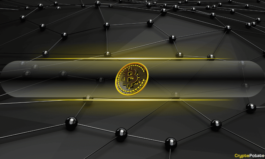 Exchange Inflows at Lowest Level in a Decade as BTC Hits New Highs: CryptoQuant
