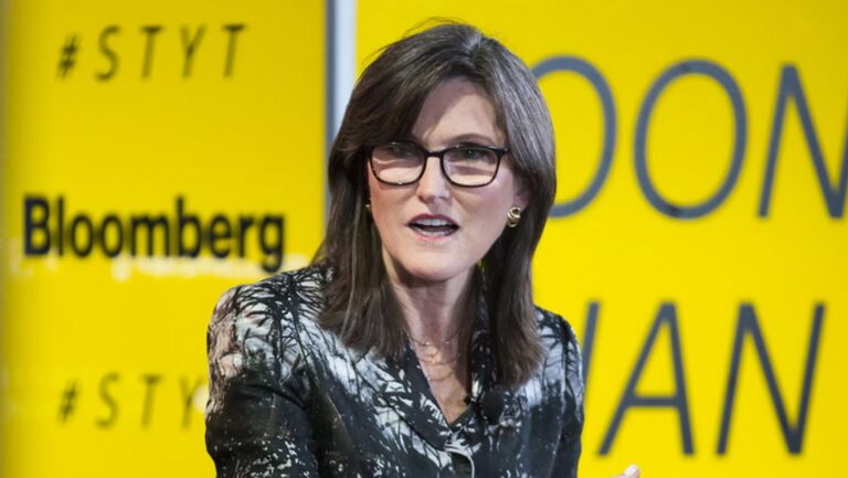 Cathie Wood's ARK: Bitcoin's Bullish Momentum Slows as Long-Term Holder Stacks Hit Record