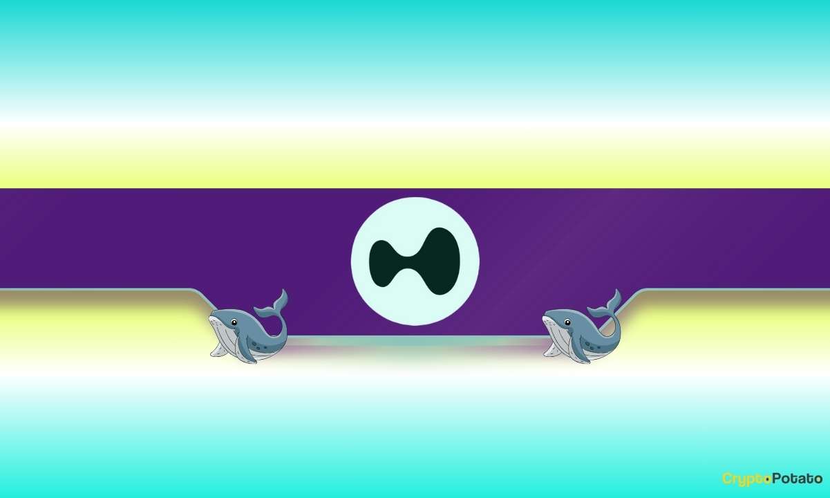 Whales Pour $6M Into HYPE Ahead of July 15 Unlock