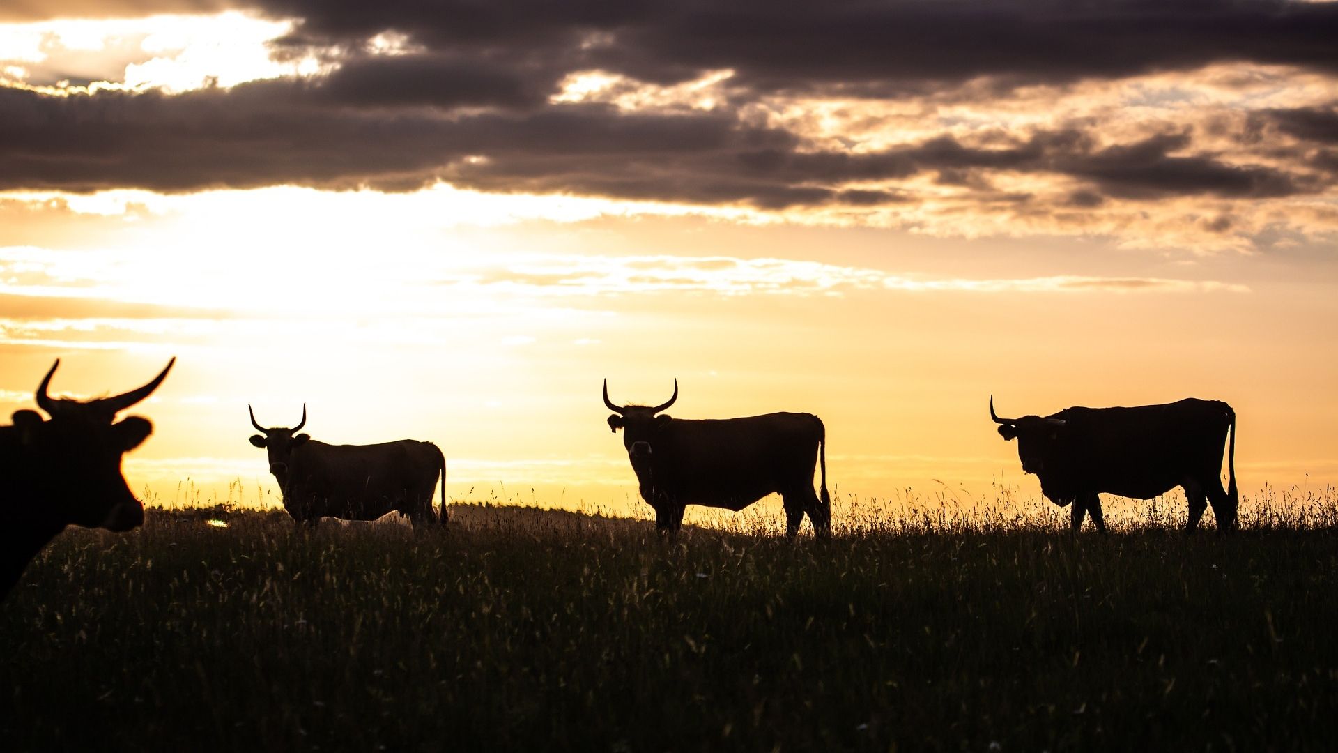 Ether, Solana, BNB Outshine Bitcoin as Cryptos Rebound