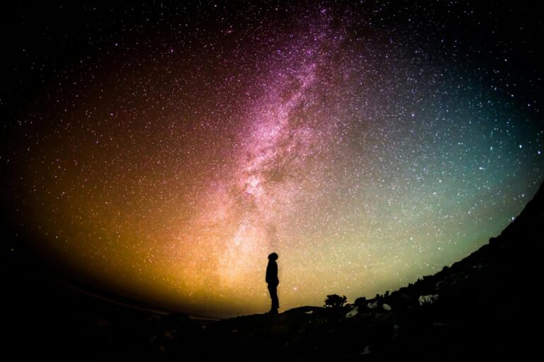 Cardano’s Midnight Begins NIGHT Airdrop Across Eight Chains in Privacy-Powered Rollout