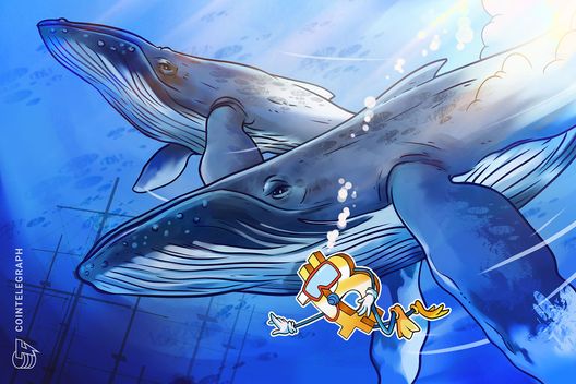 Bitcoin whale who held for 7 years sells $76M to go long on Ether