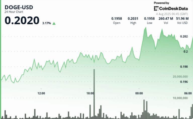 DOGE Rally Stalls at 20-Cents, But Large Holder Activity Flashes Bullish Signs