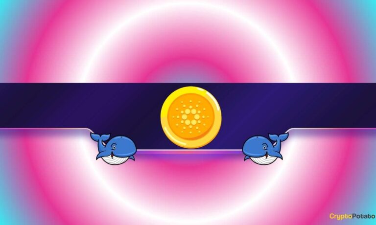 200,000,000 ADA in Just 2 Days: Are Cardano Whales Preparing for Something?