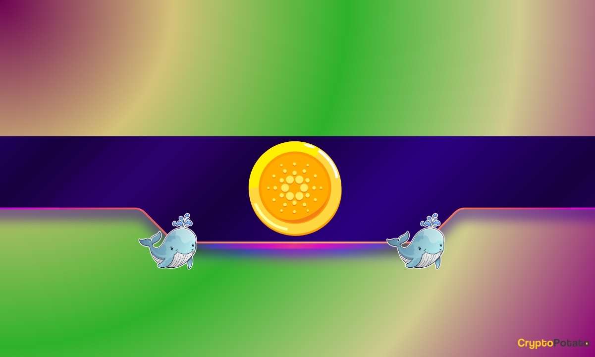 Cardano Whales Go on Massive Accumulation Spree as ADA Price Soars 15%