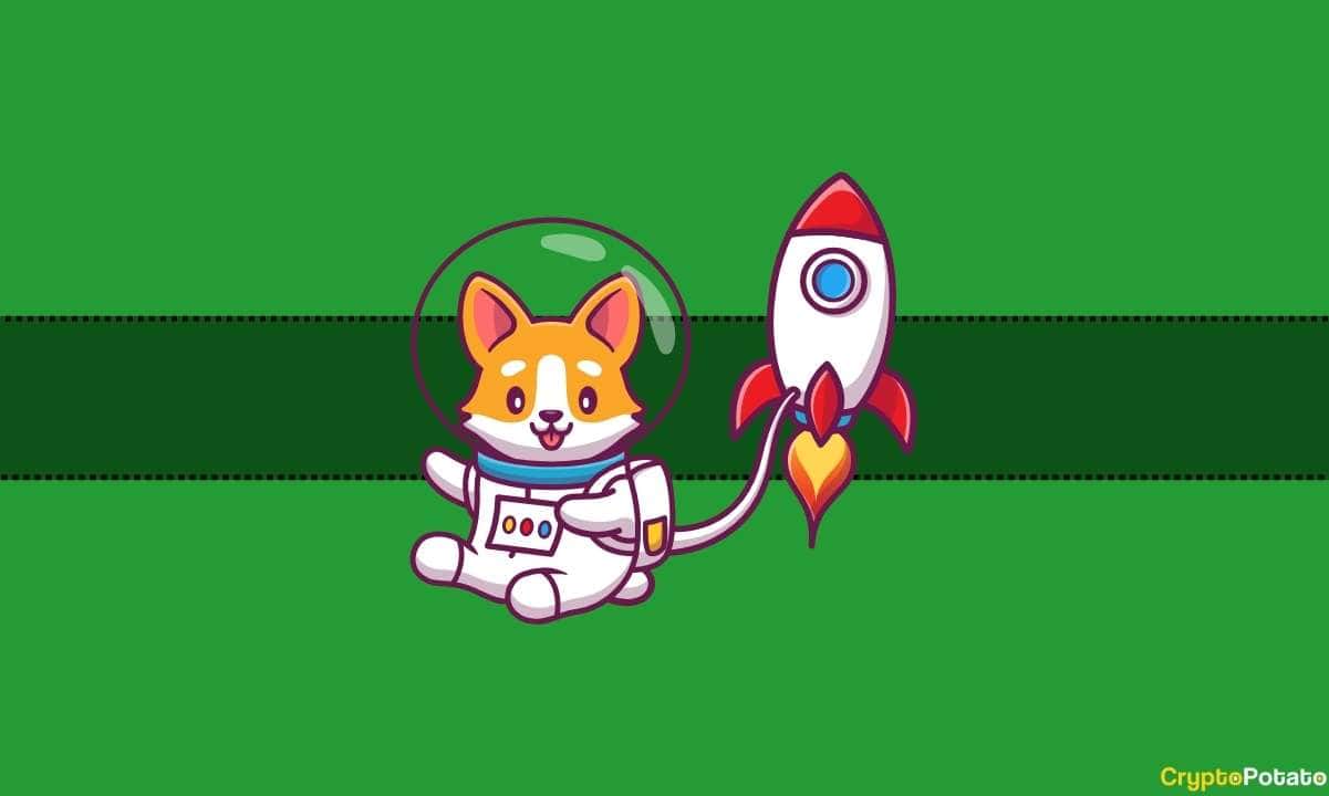 BONK Targets 100% Rally After Neckline Retest Begins